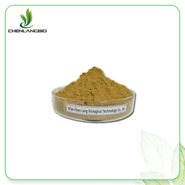 Lotus Leaf Extract Powder
